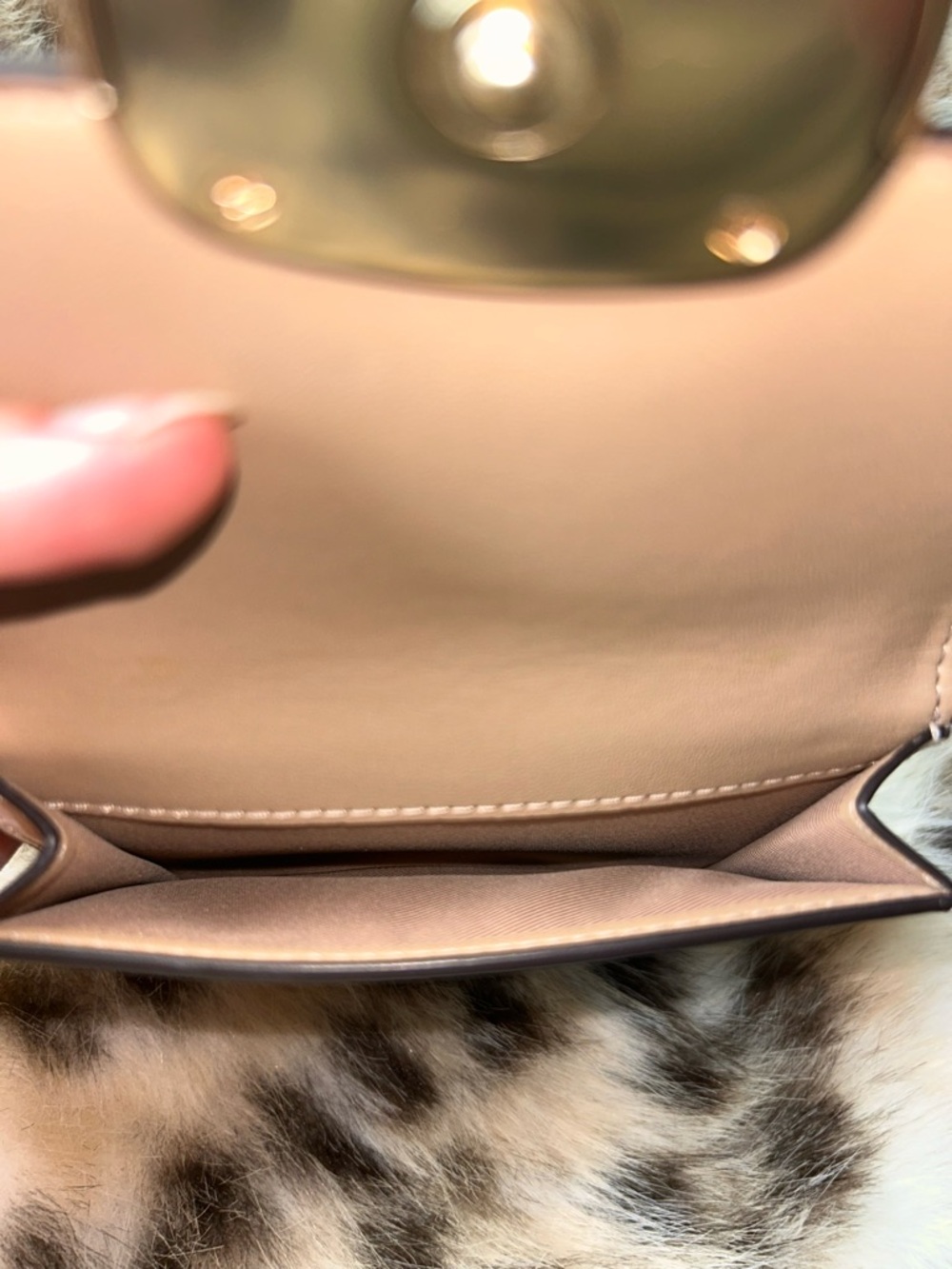 Coach Eliza Small Wallet in Signature Canvas CP255 in Gold/Light Khaki Chalk - Picture 7 of 14